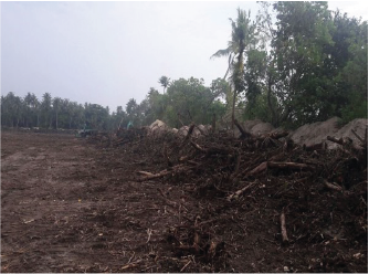 Jungle Clearing & Top Soil Removal Work
