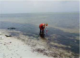 Survey Work