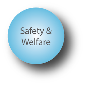 Values Safety Welfare Image